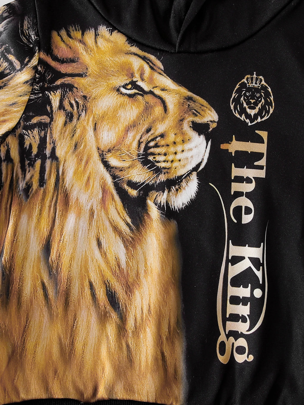 Boys' Autumn Winter Casual Lion Print Two-Piece Set Comfortable Fashionable Kids' Clothing