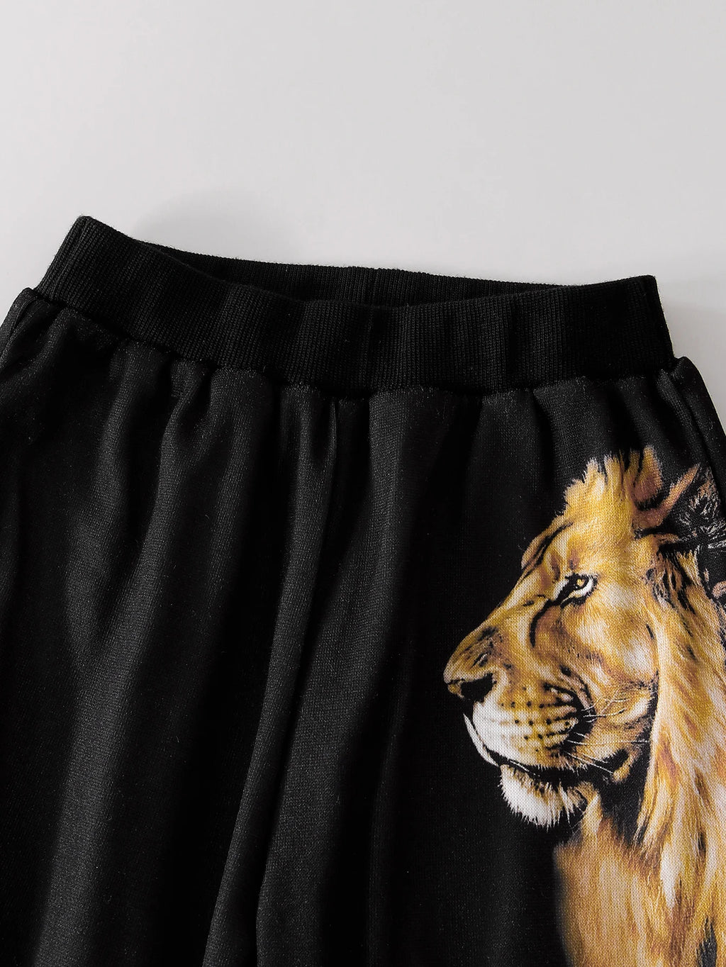 Boys' Autumn Winter Casual Lion Print Two-Piece Set Comfortable Fashionable Kids' Clothing